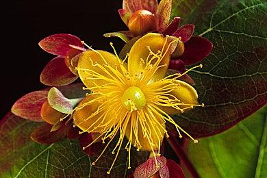 动视将在周日公布《使命召唤19》新消息