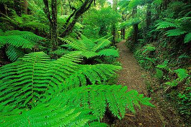 索尼聘请女团“新学校领袖”拍摄新PS5广告